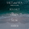 Salt and Sea 15 oz Soy Candle, Matte Jar