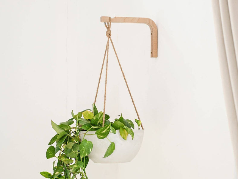 Birch Wall Hanger