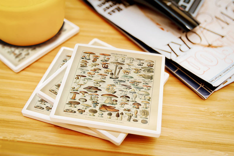 Ceramic Coasters, Mushrooms