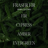 Fraser Fir Soy Candle (11 oz)